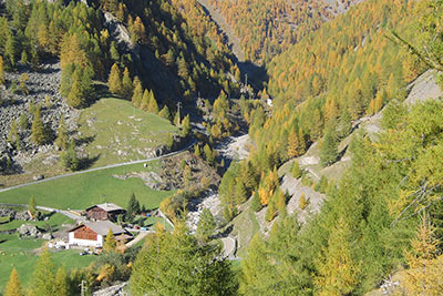 Autunno al maso Nassreid