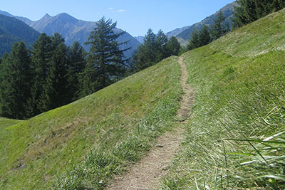 Meraner Höhenweg