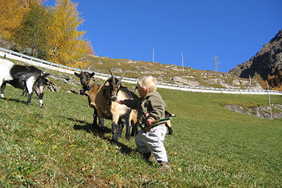 Autunno al maso Nassreid