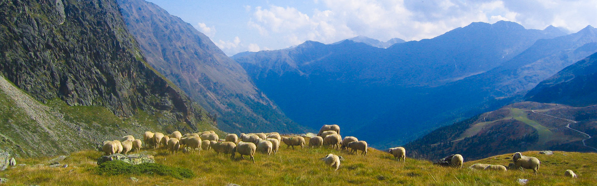 Sommer am Nassreidhof